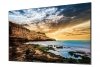 Samsung Monitor profesjonalny  QE65T 65 cali Błyszczący 16h^7 300(cd^m2) 3840x2160 (UHD) Lite Player (only)  3 lata On-Site (LH6